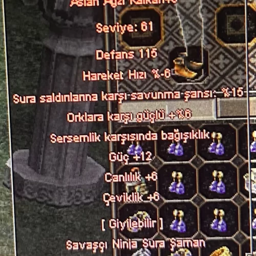  +8  ASLAN AĞZI 12 GÜÇ SERMSEM